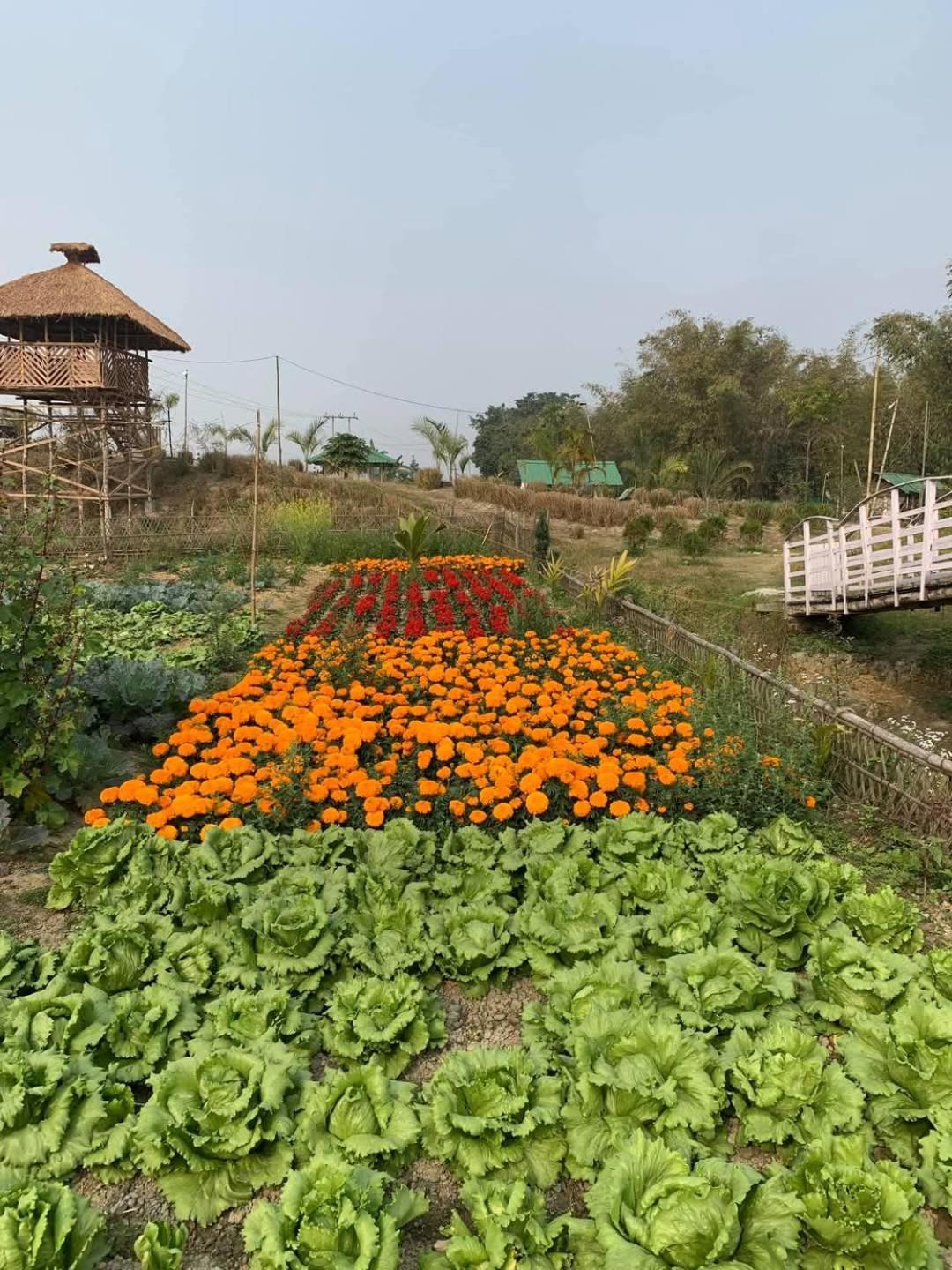 Bogibil Eco Resort New Dibrugarh Exterior photo